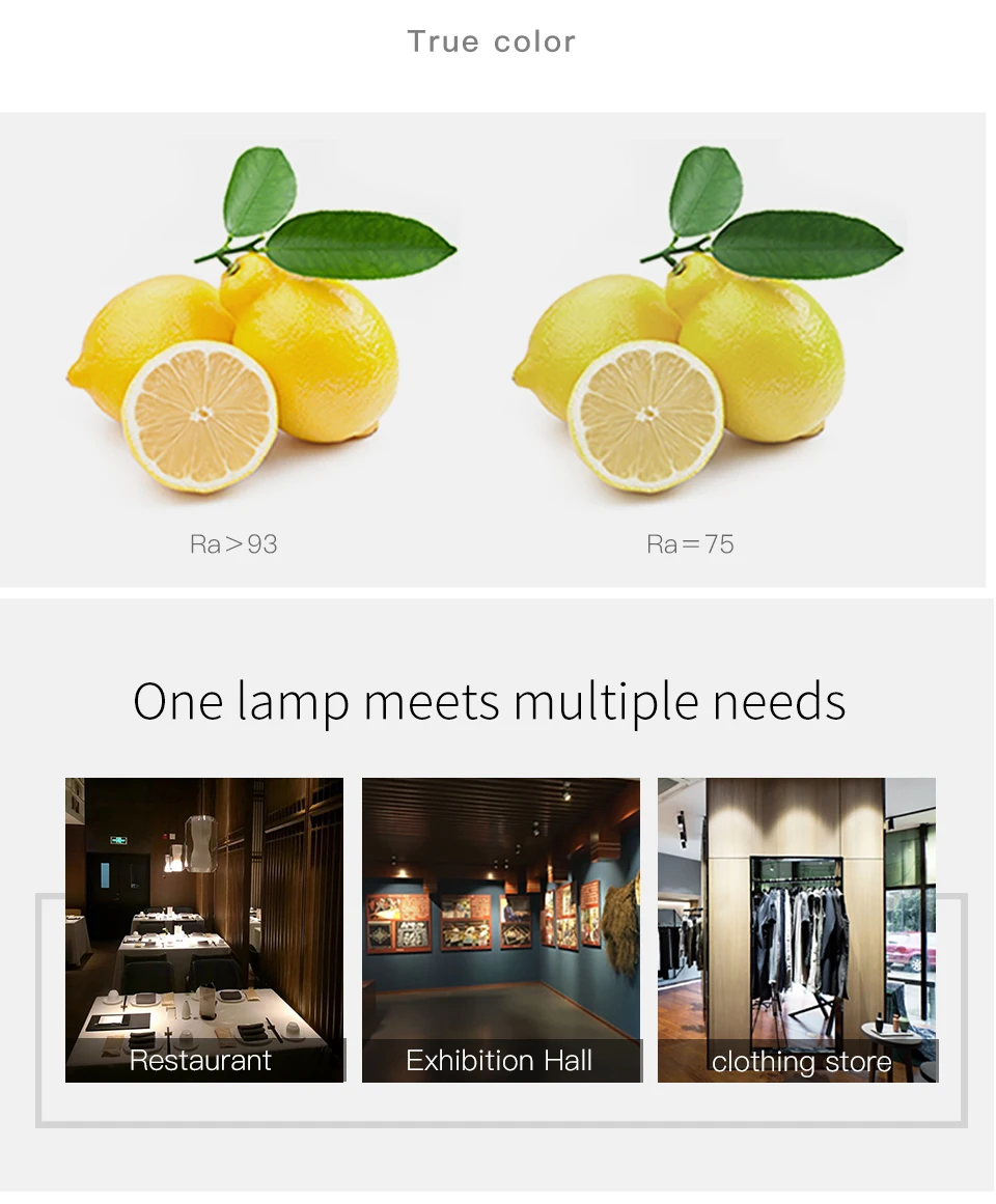 SC-GDD_07