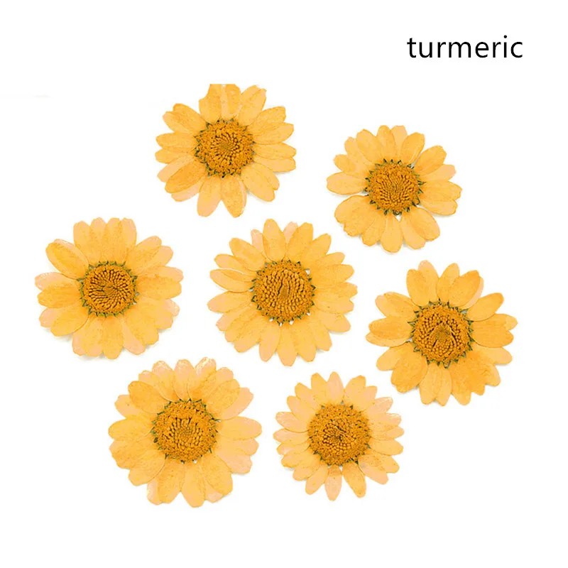 4205058587_1099731935