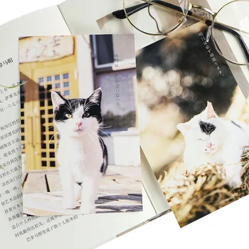 

4packs/lot Sweet Cat Forest Postcard Plant Flowers Postcard Greeting Card Wish Card Christmas and New Year gifts