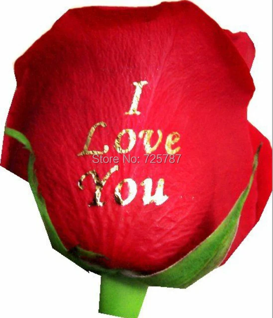 gold color flower sticker speaking roses make flowers say i love youin
