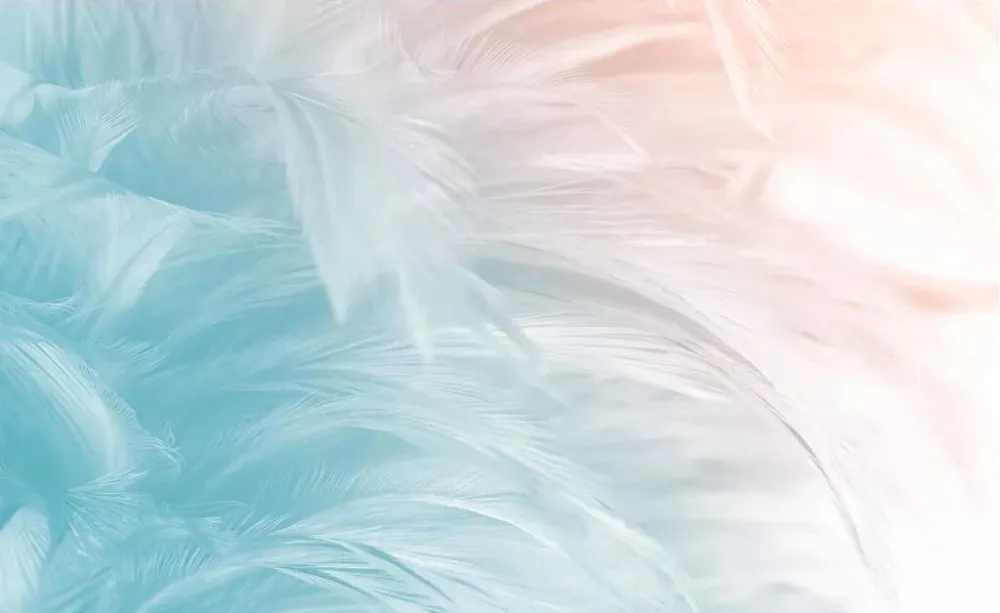 melhorias domésticas