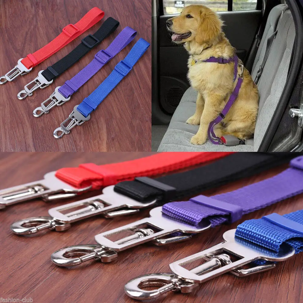 Cintur n De Seguridad Para Gato Perro Y Mascota Cintur n De Seguridad 