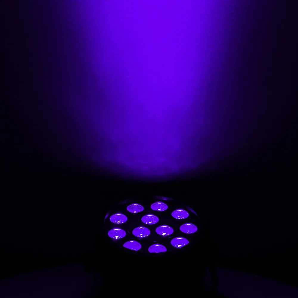 12 violet-1 
