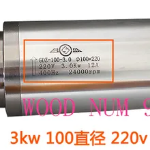 ER-220 V 100 мм 3.0kw raffreddamento AD Acqua ЧПУ motore mandrino 3kw raffreddato маршрутизатор motore mandrino делла macchina в incid