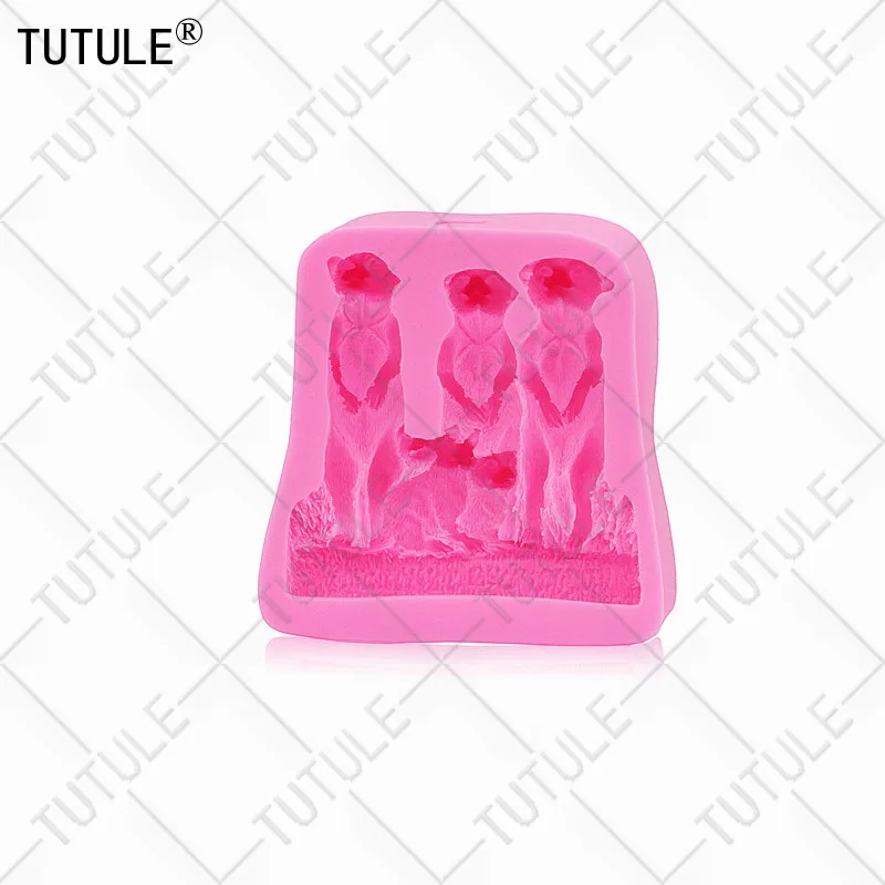 GJ-272 (5)