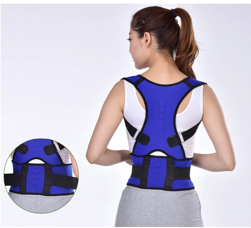 back-support2