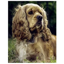 Фото на заказ, volledig алмаз живопись, вышивка крестом, DIY, полный, алмаз вышивка, Пудель собака, 3D, Алмазная мозаика, Рождество JS4000