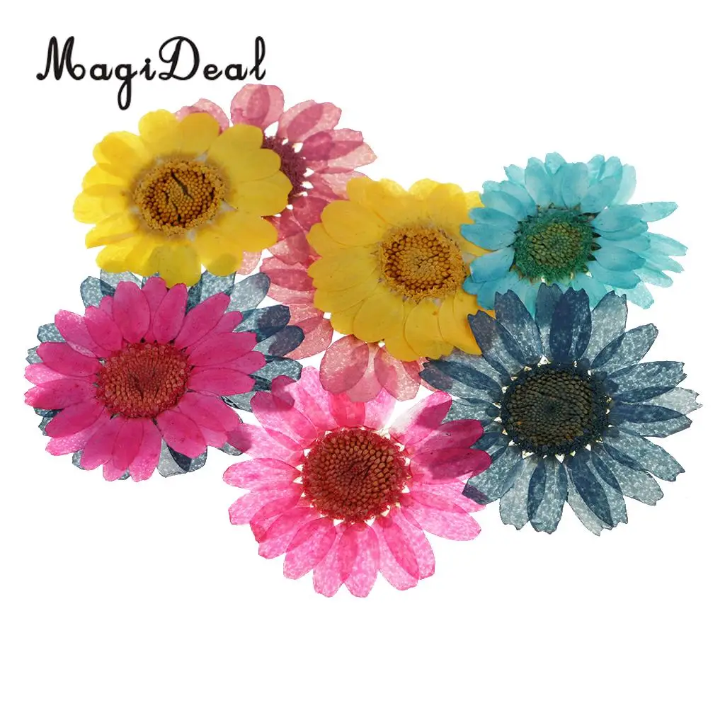 20pcs Real Dried Flowers Pressed  Chrysanthemum for Wedding Decoration Scrapbooking DIY Arts Crafts Floral Decor