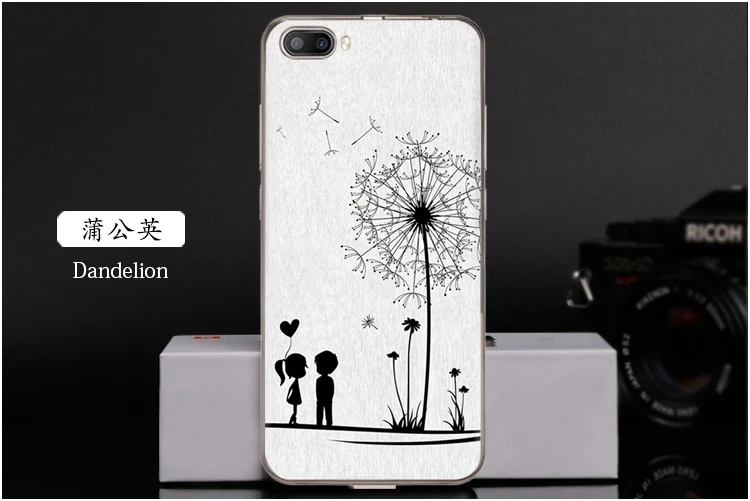  Dandelion