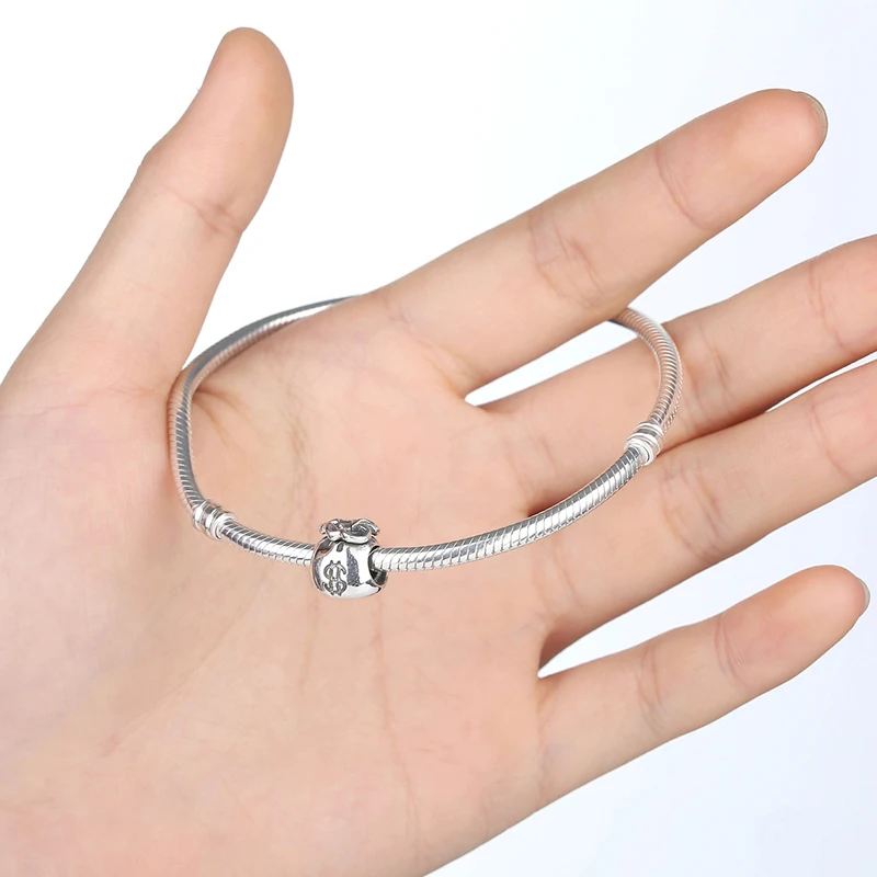 charm pandora soldi charm pandora soldi
