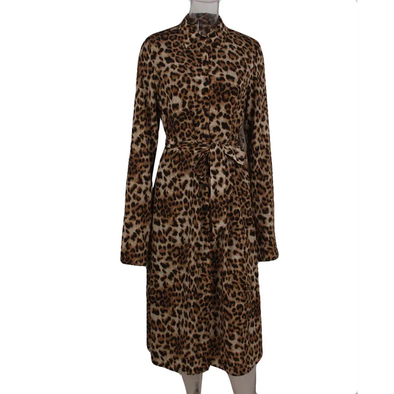 Fashion casual dress women autumn winter elegant dress Leopard Print Maxi Ladies Holiday Long Sleeve Dress vestidos S25#N (13)