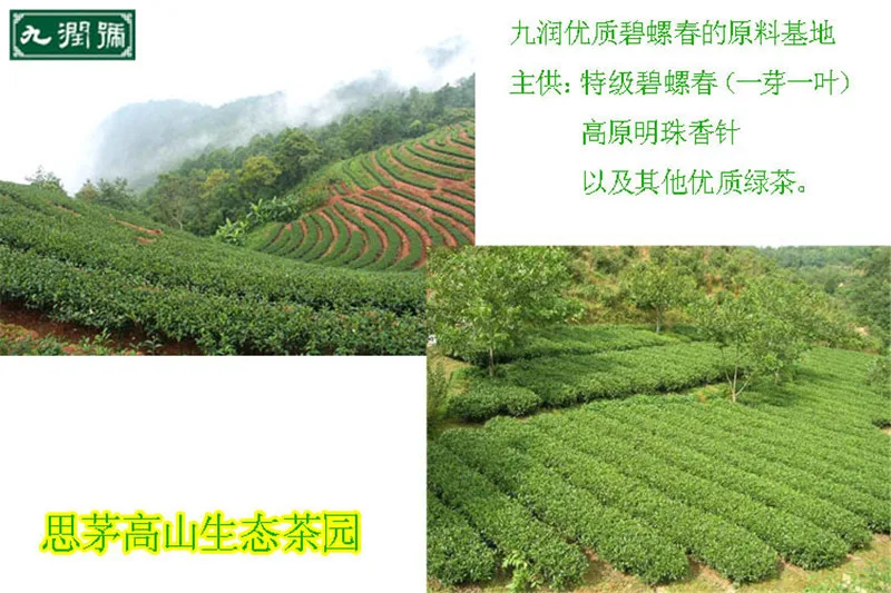  100g New Spring Biluochun tea premium Pilochun tea Bi luo chun green tea the green food for weight loss health care products 