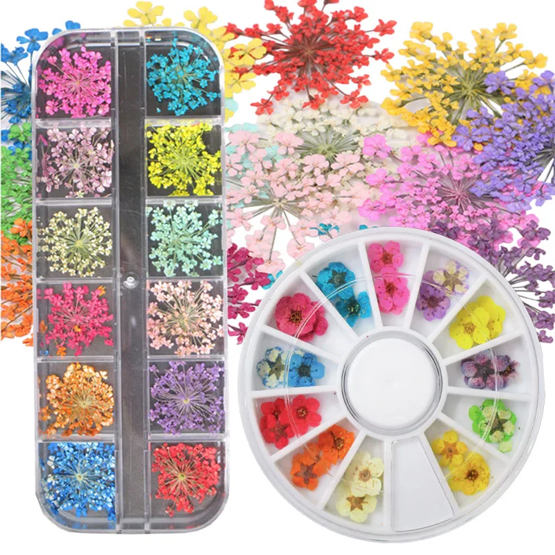 1 коробка, 12 цветов, сушеные цветы, украшение для ногтей, Цветочные наклейки, наклейки для лака, прессованные настоящие сухие цветы для УФ-геля, дизайн ногтей