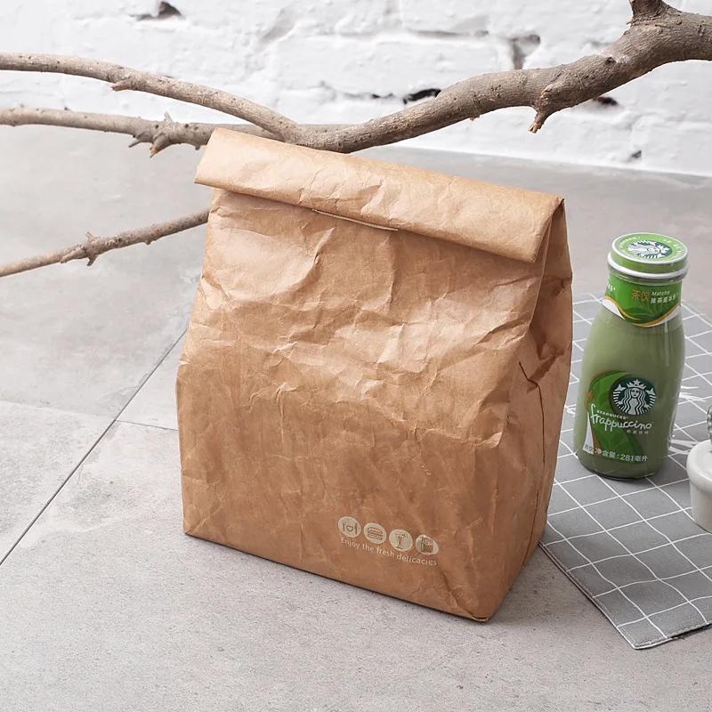 

Ice pack kraft paper picnic bag cooler bag Environmentally solvable Tyvek aluminum film lunch box bag outdoor camping