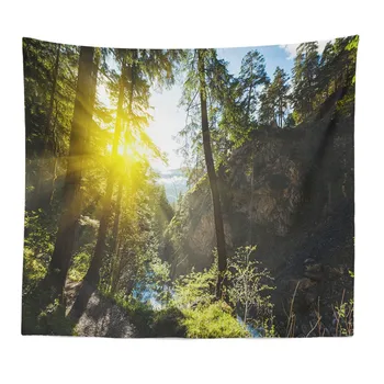 

Unmanned Forest Printing Tapestry Wall Hanging Mandala Nature Scenic Tapestry Tapestries For Living Room Bedroom Decor 150X200cm