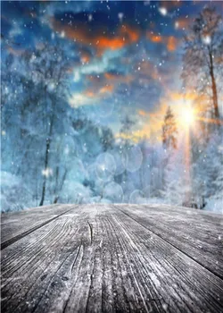 

LIFE MAGIC BOX Photophone for Photos Winter Background Christmas Country House for Studio
