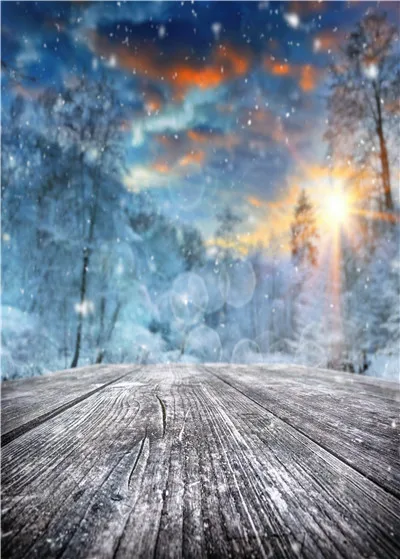 LIFE MAGIC BOX Фотофон для фотографий зимний фон Рождественский загородный дом