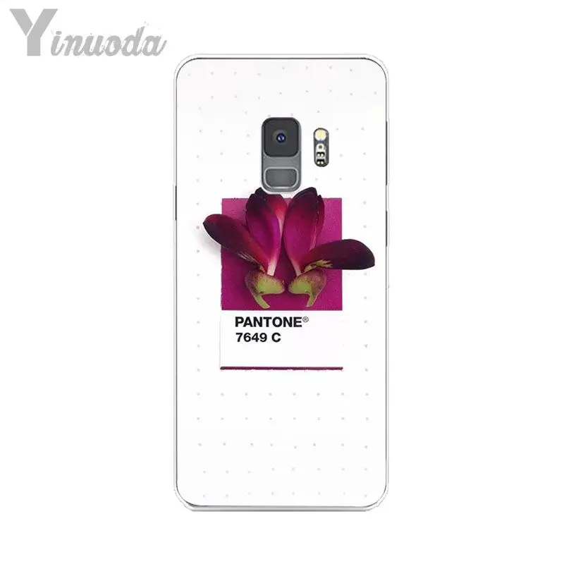 Pantone Candy Color Flower