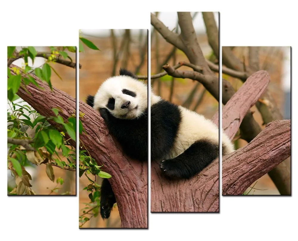 

4 pieces / set of sleep on the trees Panda painting art wall living room decoration canvas painting paint in the paint frame