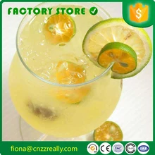 Китай производитель pice Электрический круглый лимонный соковыжималка для цитрусовых Панама uesd с нержавеющим телом