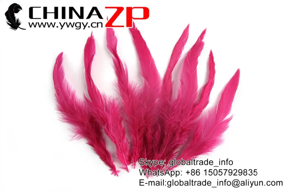 rooster coque feathers -Hot Pink (5)
