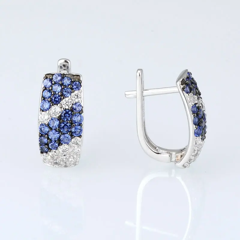 E303579BZZSK925-SV2-Silver Earrings