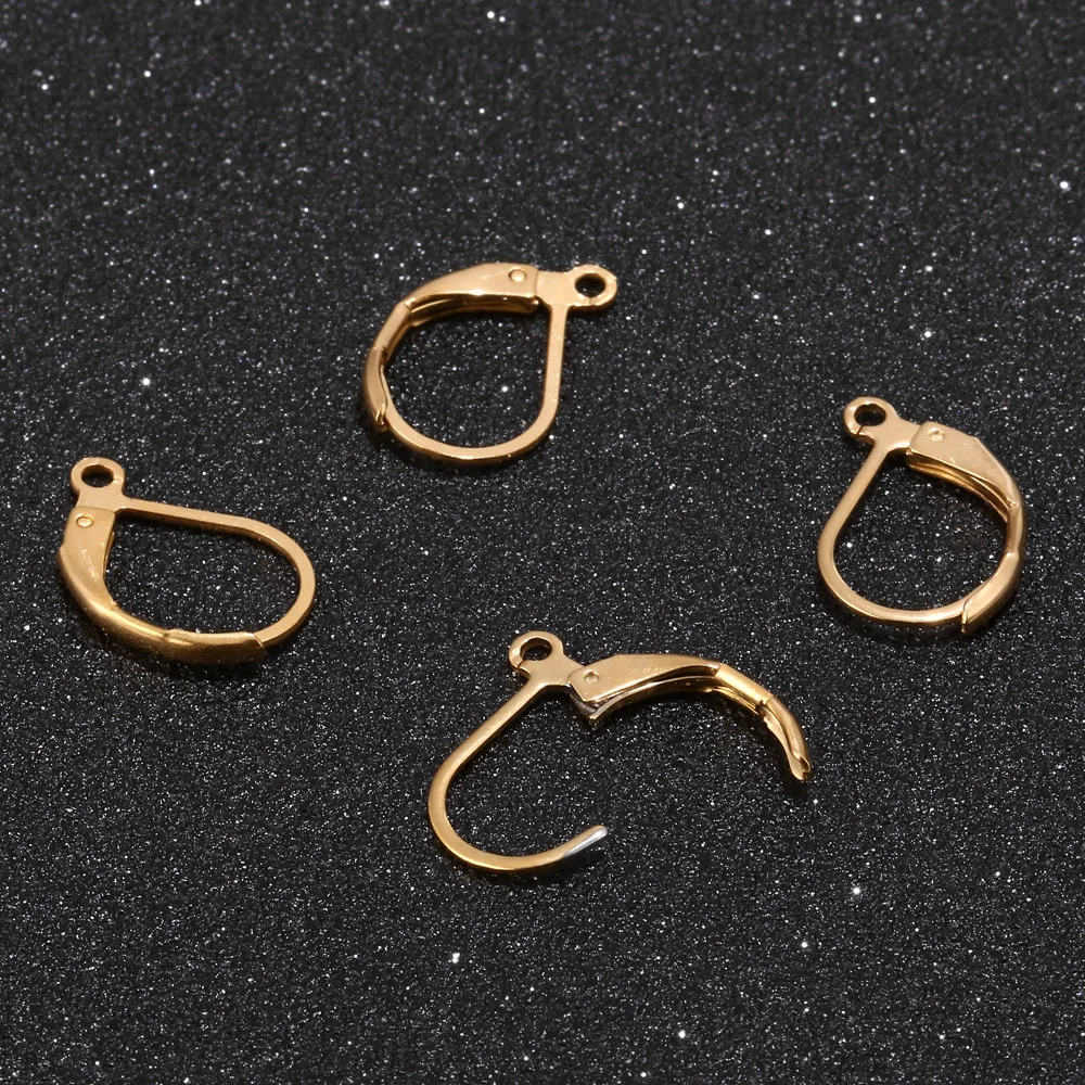 20pcs Stainless Steel French Earring Lever Back Ear Wire Hoop Open Loop Leverback  Earring Hooks for