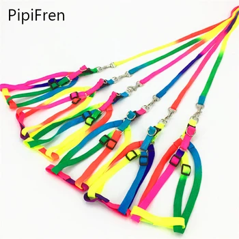 

PipiFren Small Dog Collar Harness Leash For Cats Collar Dogs Pets Accessories Puppy Colorful Chihuahua laisse pour chien Tasma