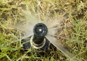 south-austin-lawn-sprinkler-300x210