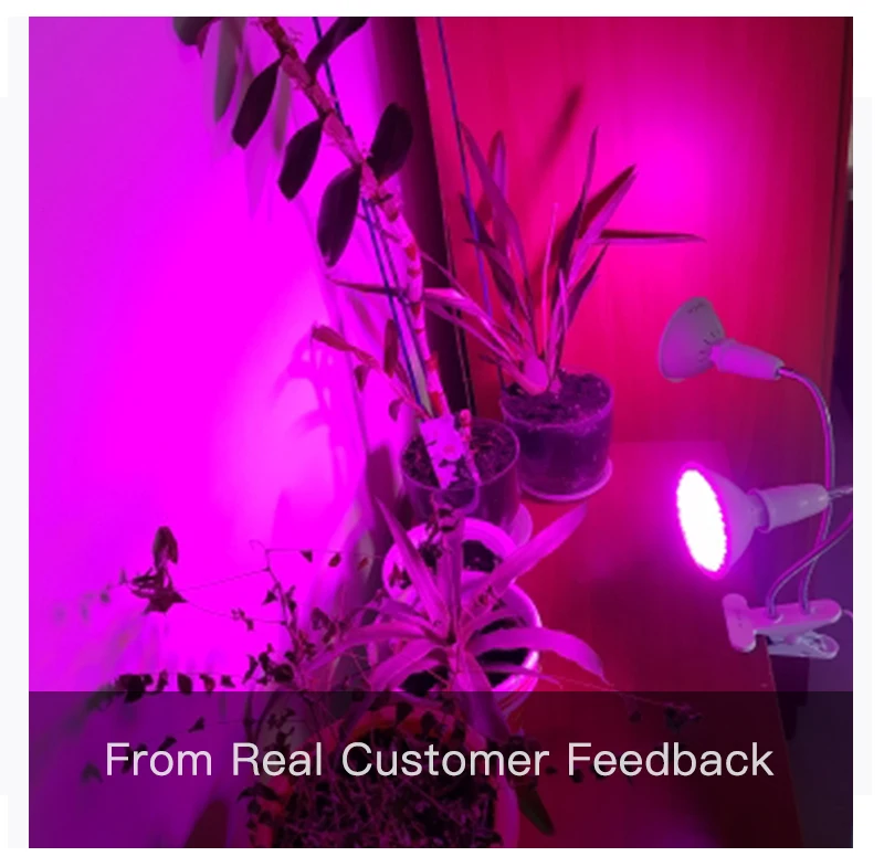 Goodland Phyto Lamp Full Spectrum LED Grow Light E27 Plant Lamp Fitolamp For Indoor Seedlings Flower Fitolampy Grow Tent Box 6 Goodland Phyto Lamp Full Spectrum LED Grow Light E27 Plant Lamp Fitolamp For Indoor Seedlings Flower Fitolampy Grow Tent Box 6