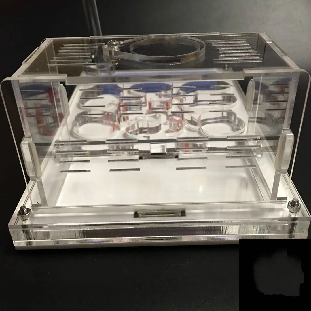 1 шт большие плоские гнезда акриловые муравьиные гнезда