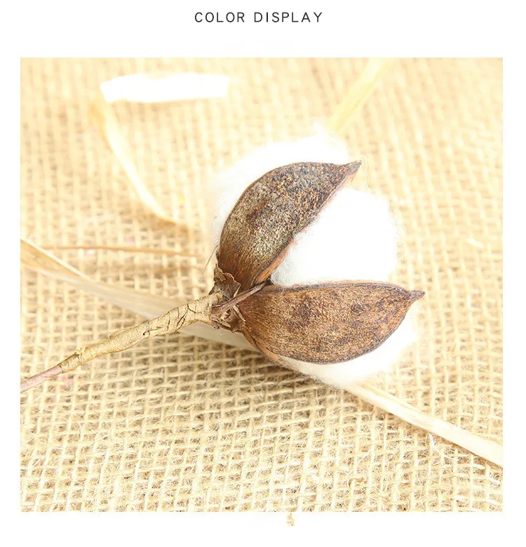 HTB1Tbd.JNGYBuNjy0Fnq6x5lpXaG