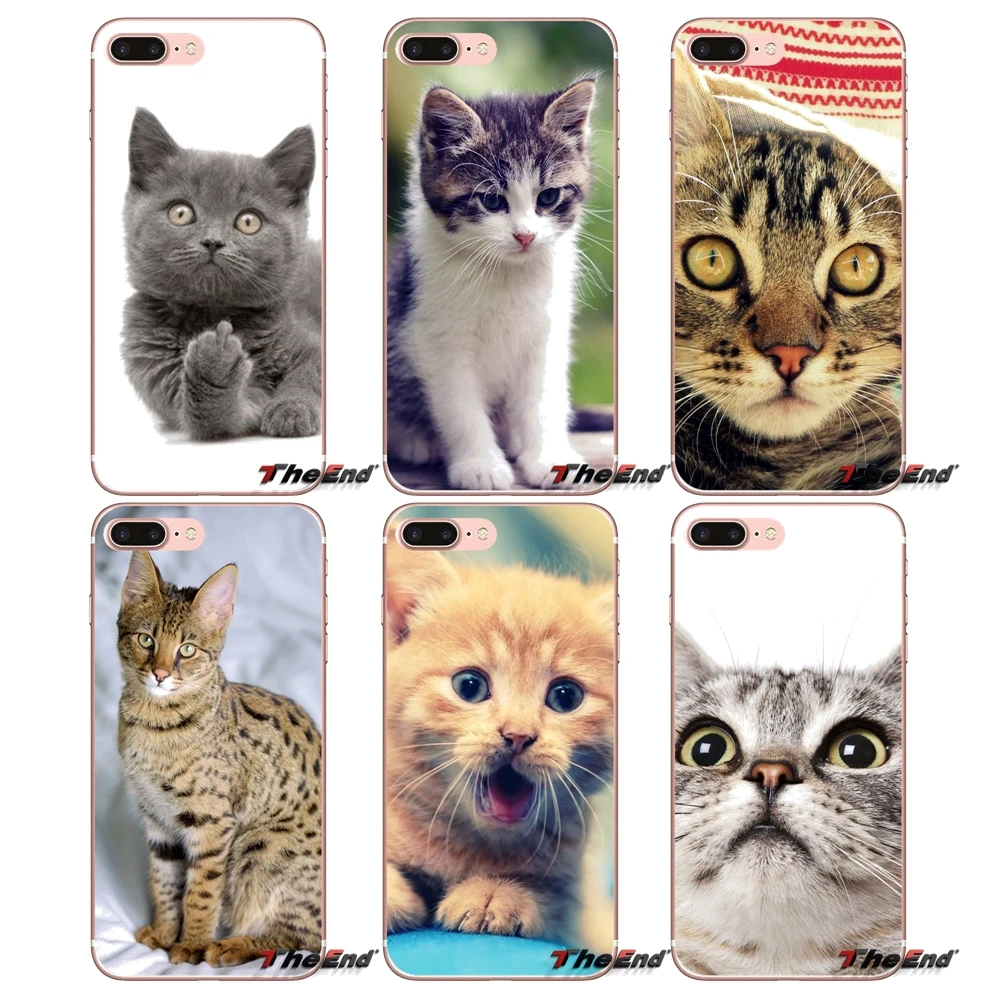 Cat Back Phone Soft Transparent Case Cover For Sony Xperia Z Z1 Z2 Z3 Z5 compact M2 M4 M5 E3 T3 XA Aqua LG G4 G5 G3 G2 Mini Capa | Мобильные