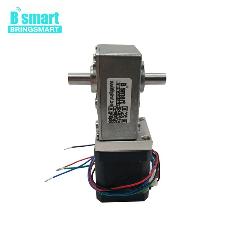 Bringsmart Φ 12V DC шаговый двигатель с двумя выходными валами 24V 4 проводной червячный