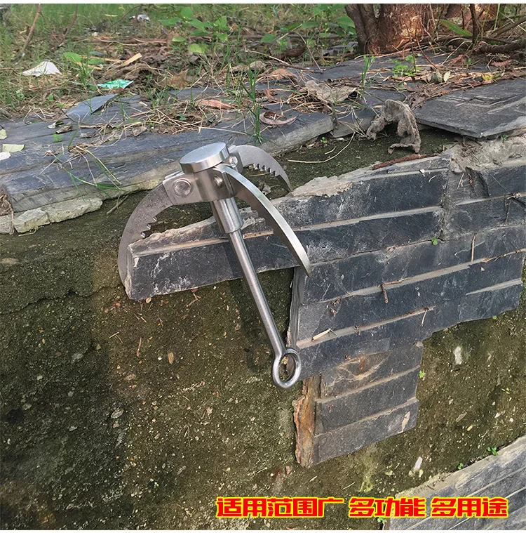 3552242028_2102329459