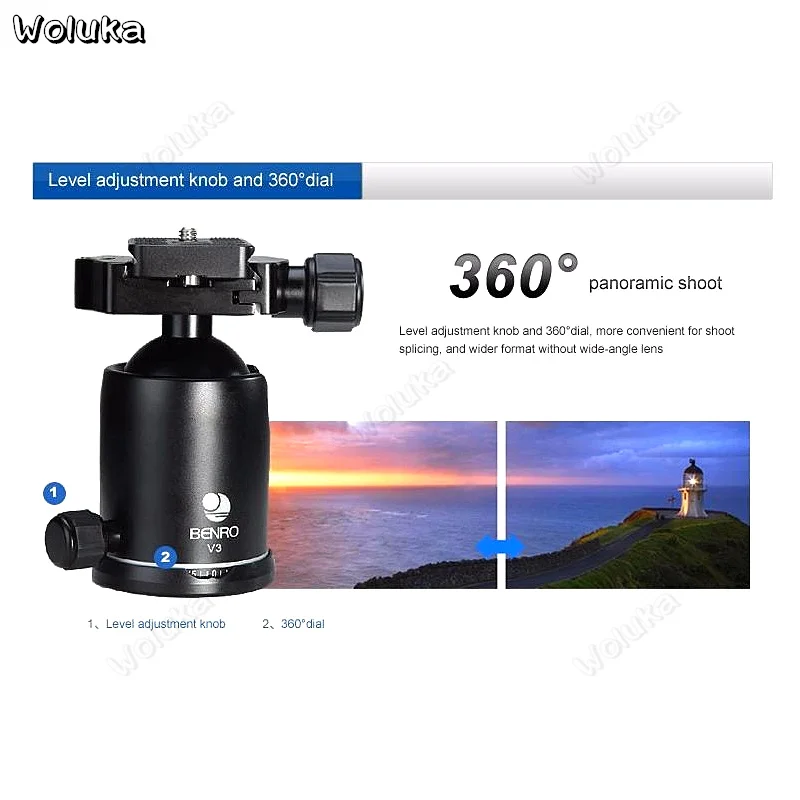 36020190219172719541