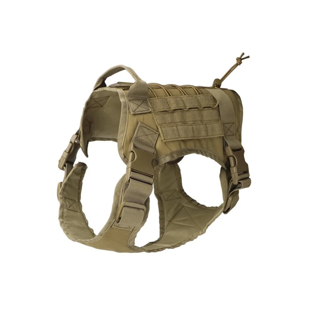 297736_no-logo_297736-1-03