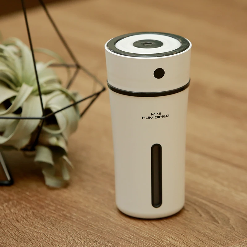 air humidifier  (11)