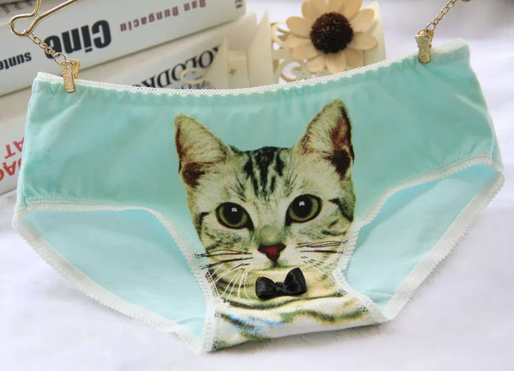 Girls Cat Panties Kids Cotton Underwear Teenage Panties For 12-20Y Casual Children Underwear Female Brief Culotte Femme - Цвет: 9