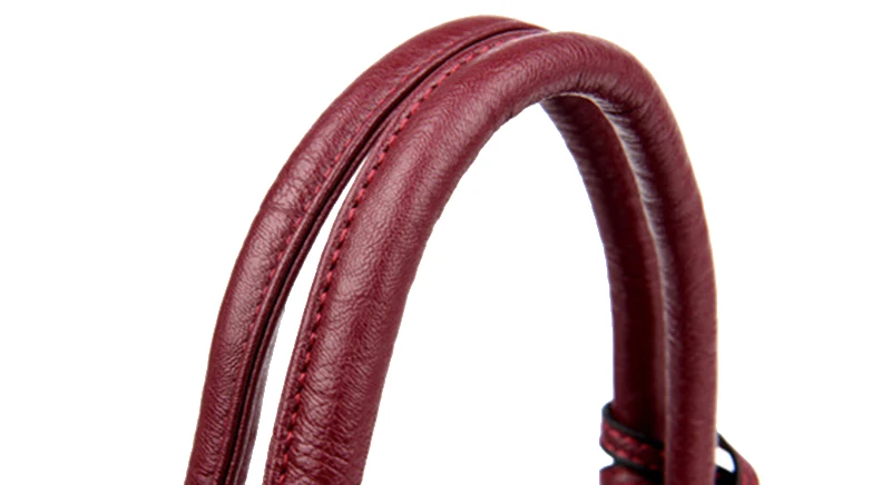 Women Handbags Fashion Pu Leather Women Shoulder Bags Ladies Hand Bags Tassel Female Handbags Large Tote Sac A Main Femme SS7103 (20)