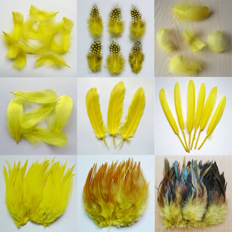 

20pcs 11 kinds Yellow Color Pheasant tail Chicken feathers Goose Rooster Plume for Party DIY Craft decoration Ostrich feather