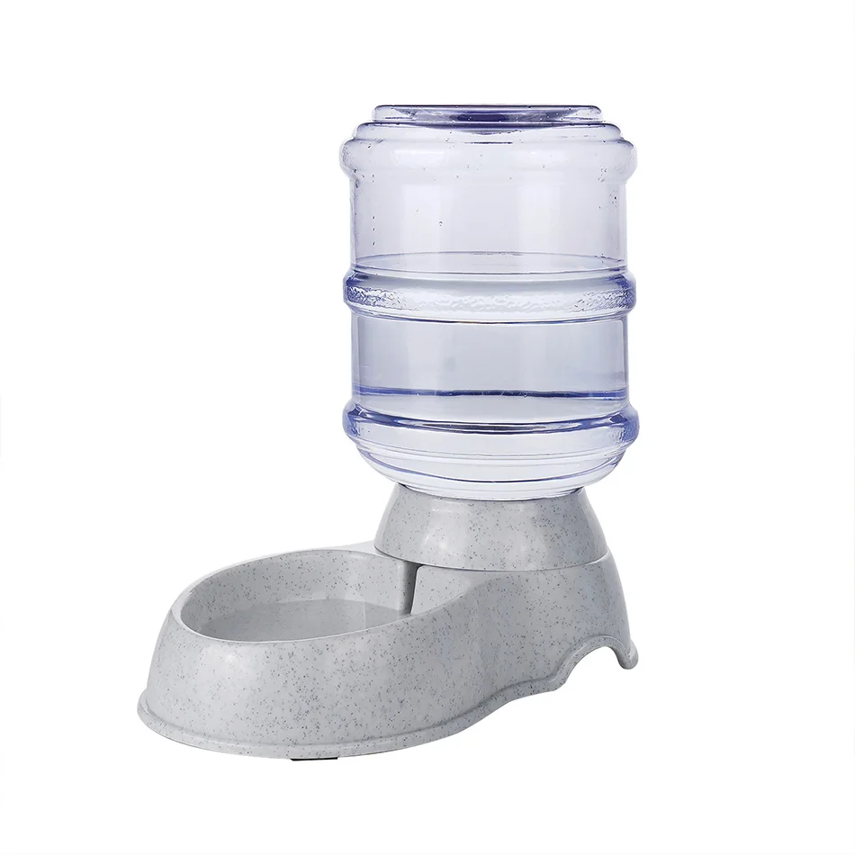 drinking bowl dog