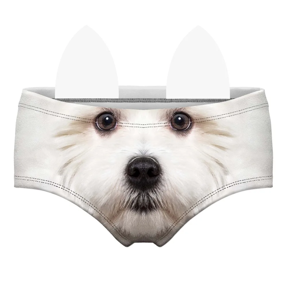 55120 white terrier front 