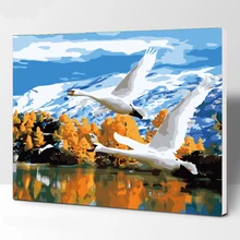 Лебедь в парах DIY цифровая картина маслом по номерам Европа абстрактная хлопковая живопись для гостиной настенная живопись без рамки 40x50