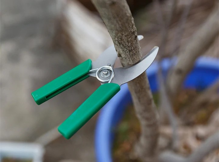 Профессиональное Садовое кольцо с фруктовым деревом, Режущее Кольцо-ножницы, ножницы, ветви, кольцевой резак, нож для зачистки коры