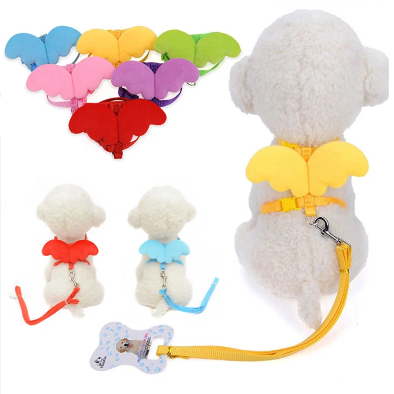 Cute Angel Wing Pet Dog Leashes and Collars Set Puppy Leads for Small