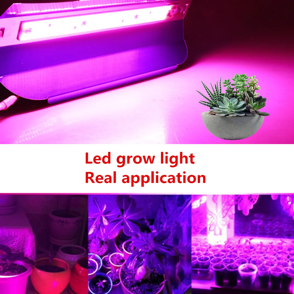 50/100 Вт высокой мощности Мощность COB светодиодный Grow светильник полный спектр Водонепроницаемый 220V для внутреннего парниковых расти палатку успешно выращивайте растения светодиодный светильник
