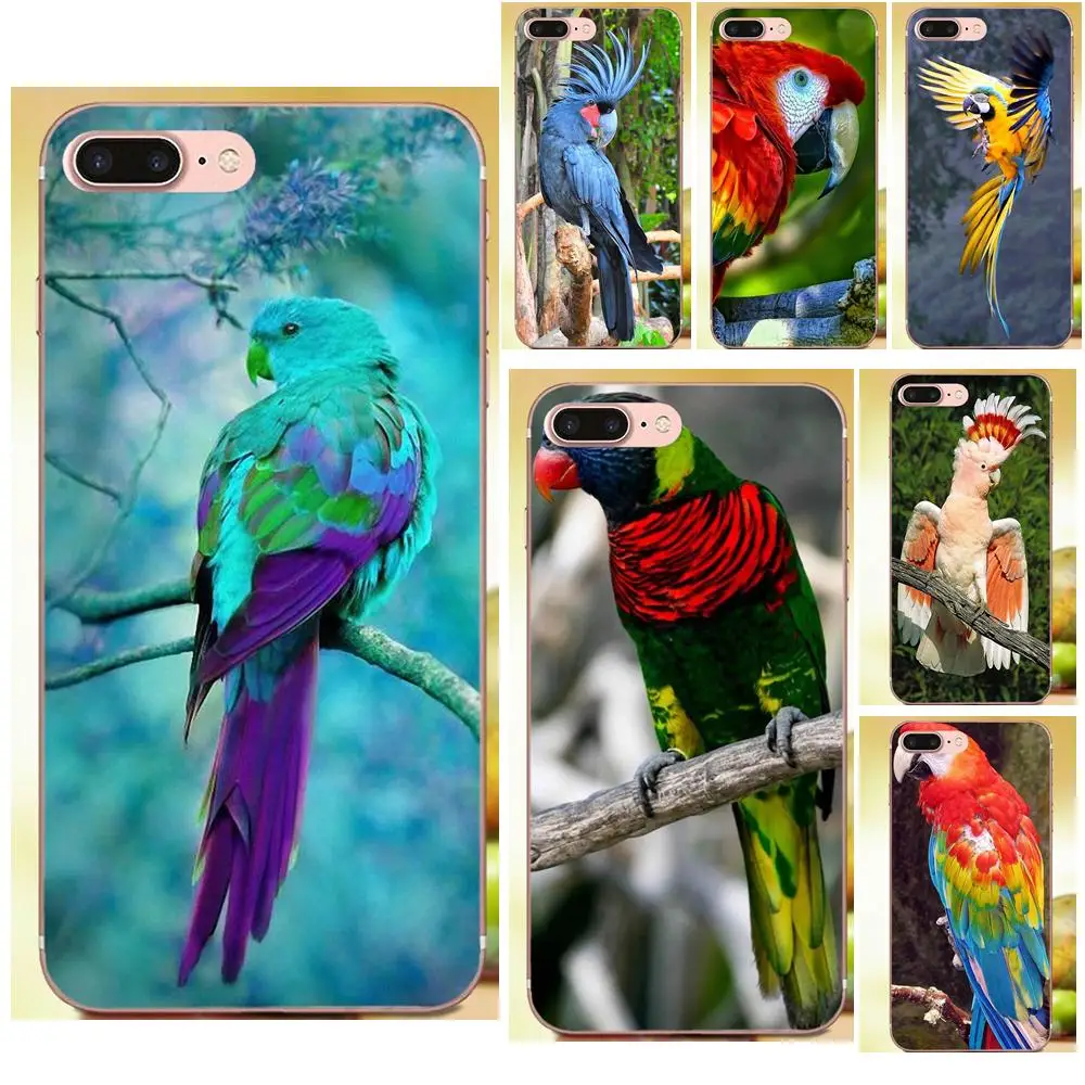 

Beautiful Parrots Animal Soft Cases Skin For Huawei G8 Honor 5C 5X 6 6X 7 8 9 Y5II Mate 9 P7 P8 P9 P10 P20 Lite Plus 2017