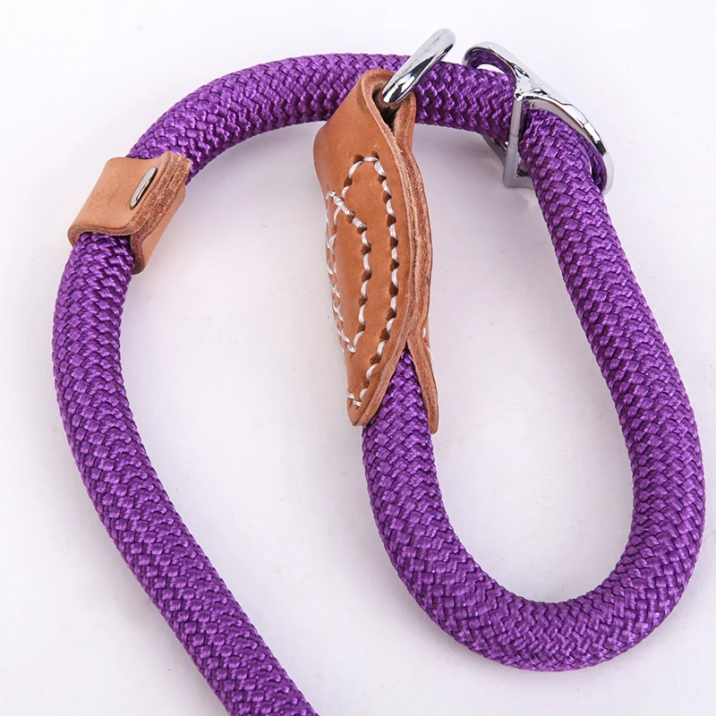 dog leash 6