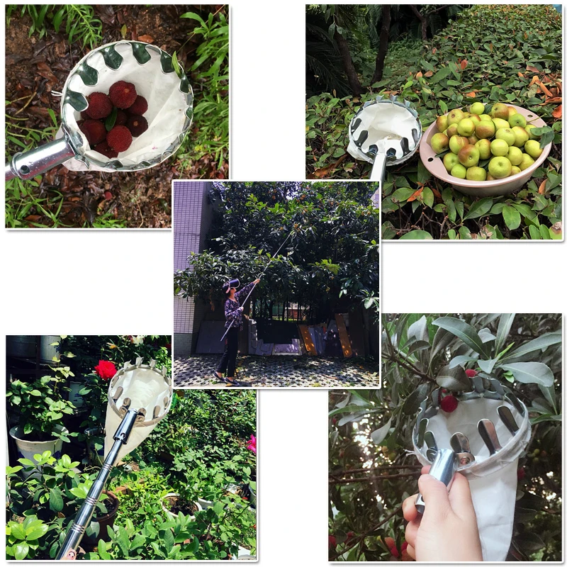 JDSR-Garden-Tools-Fruit-Picker-Head-Metal-Fruit-Picking-Tools-Fruits-Catcher-Harvest-Picking-Apple-Citrus